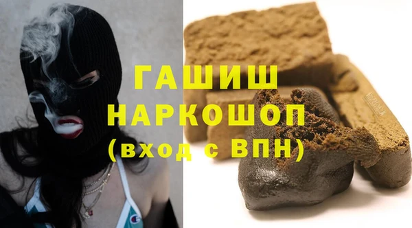 стаф Алзамай
