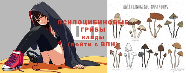 сатива Алексеевка