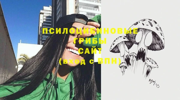 стаф Алзамай