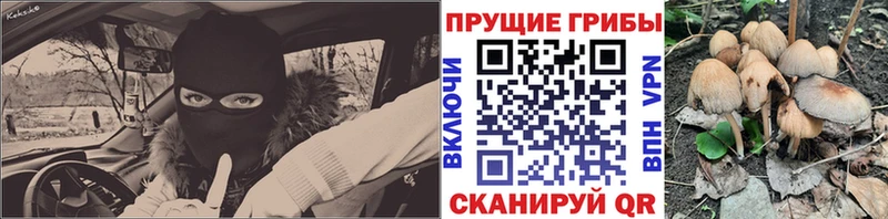 Галлюциногенные грибы GOLDEN TEACHER Брюховецкая